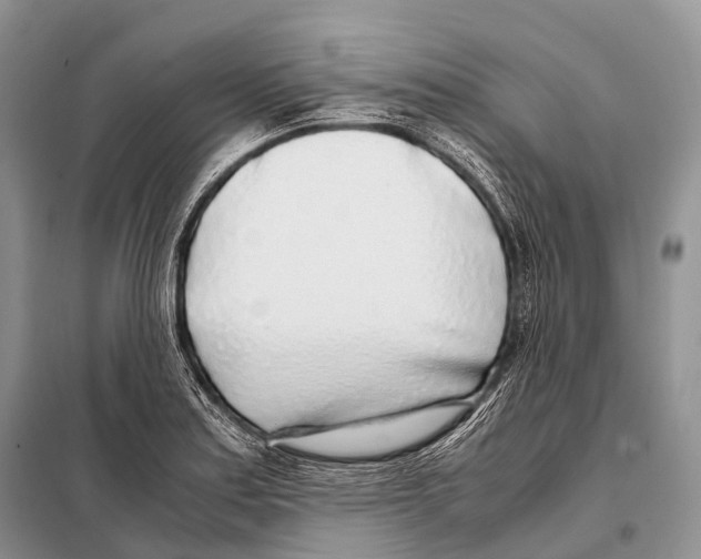 X0000098121179200805021149