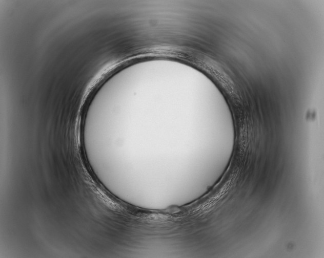 X0000098121180200805021149