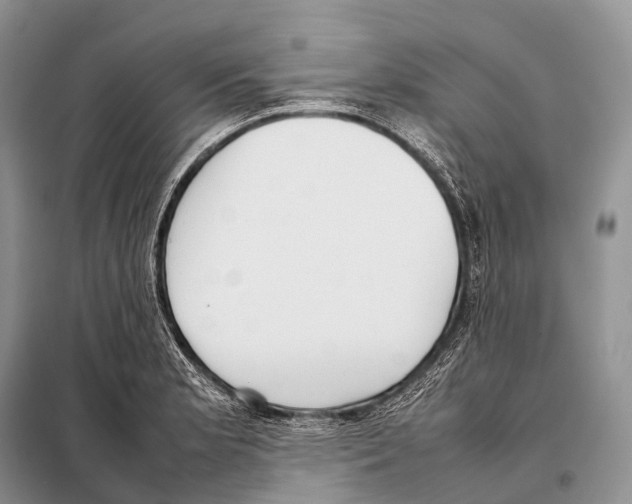 X0000098121181200805021149