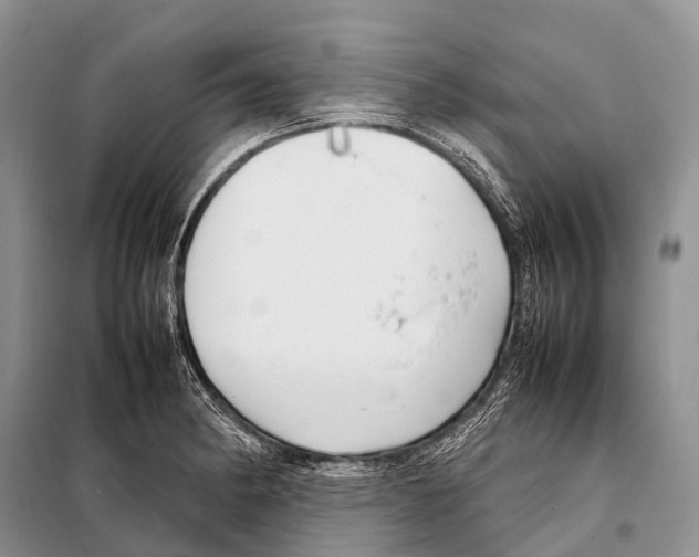 X0000098121182200805021149