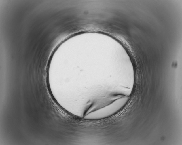 X0000098121183200805021149