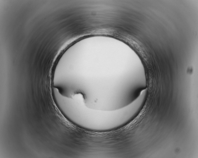 X0000098121184200805021149