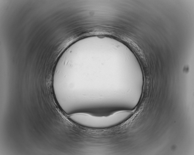 X0000098121185200805021149