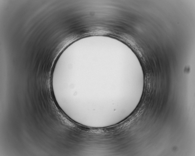 X0000098121186200805021149
