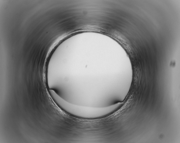 X0000098121188200805021149