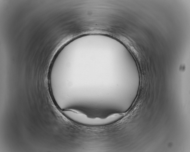 X0000098121189200805021149