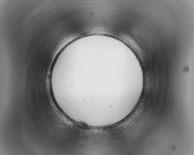X0000098121190200805021149