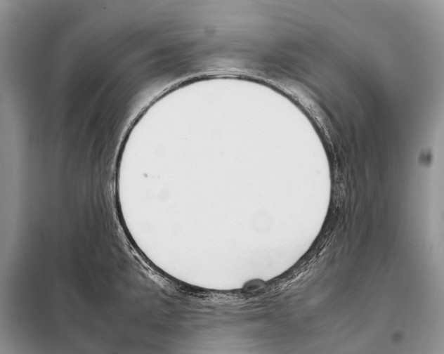 X0000098121191200805021149