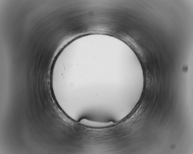 X0000098121192200805021149
