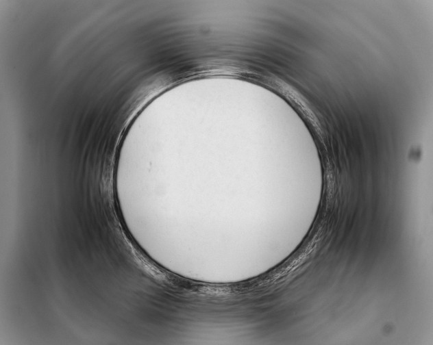 X0000098121194200805021149