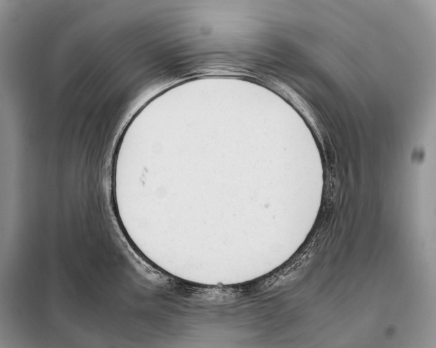 X0000098121195200805021149