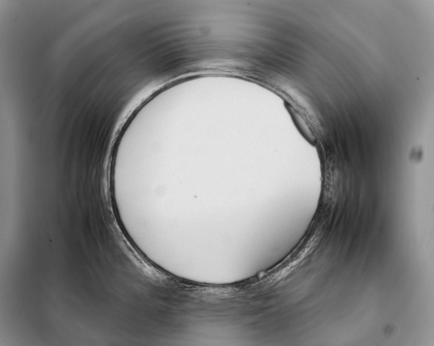 X0000098121196200805021149
