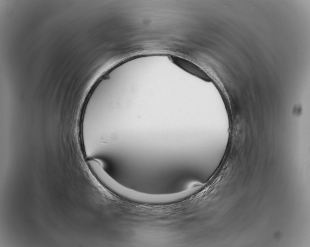 X0000098121197200805021149
