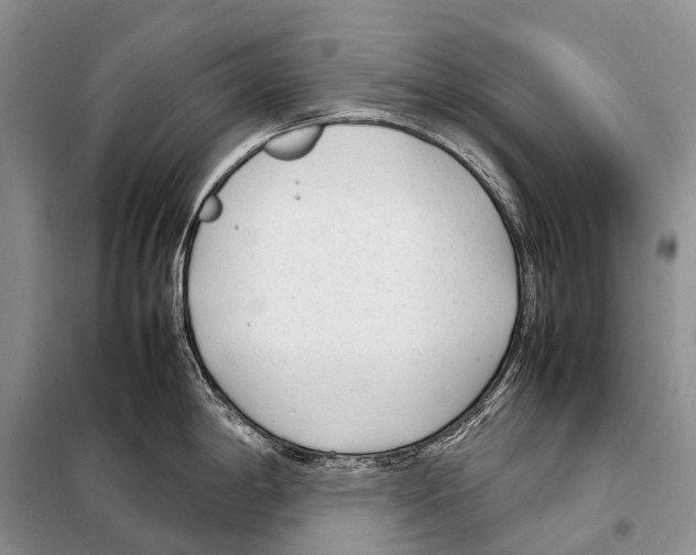 X0000098121198200805021149
