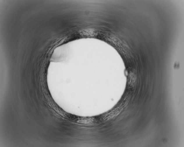X0000098121201200805021148