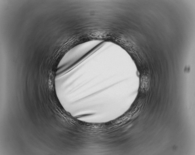 X0000098121202200805021148