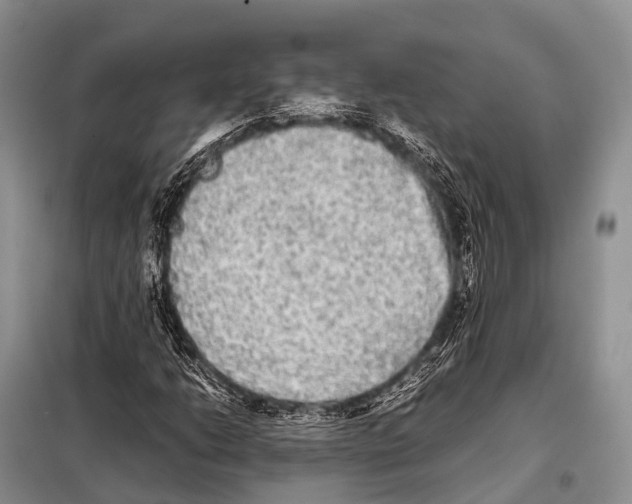 X0000098121206200805021148