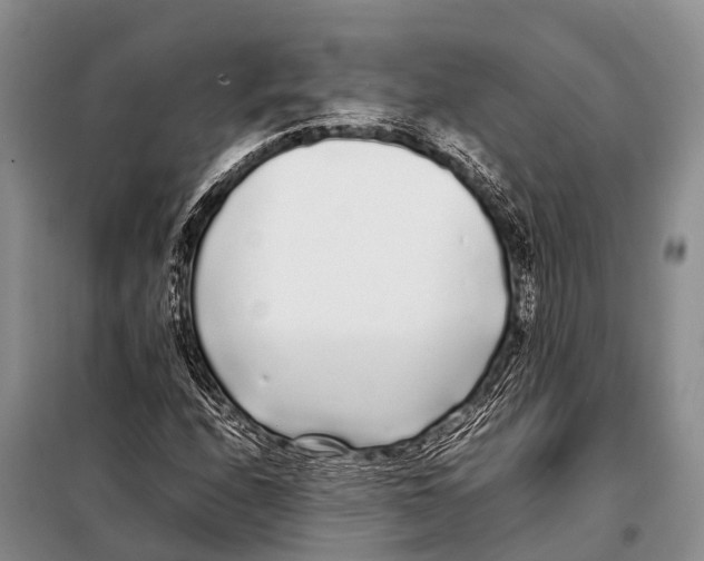 X0000098121208200805021148