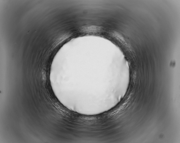 X0000098121209200805021148