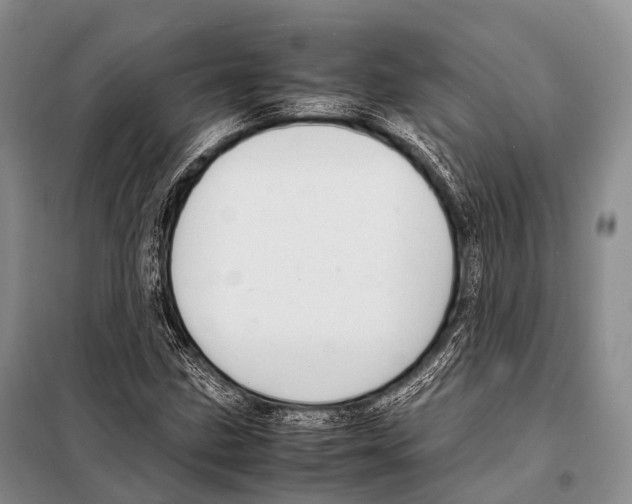 X0000098121211200805021148
