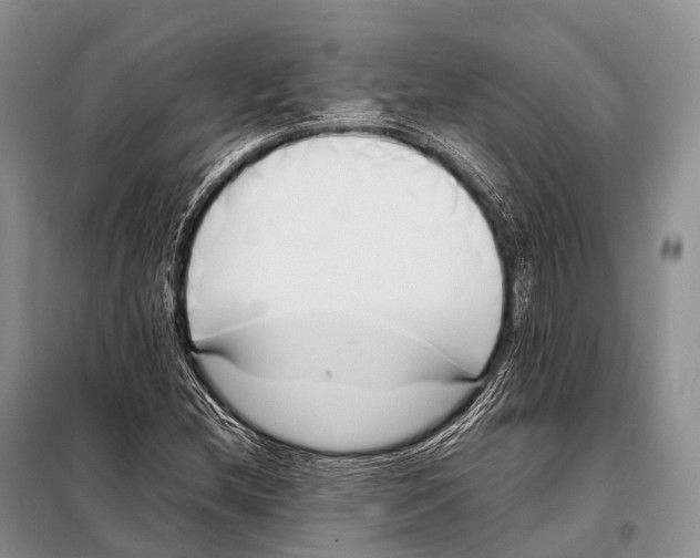 X0000098121212200805021148