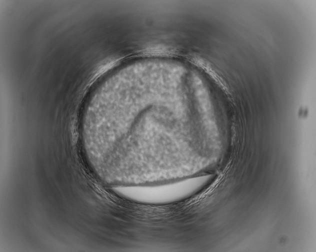 X0000098121213200805021148