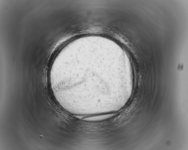 X0000098121214200805021148