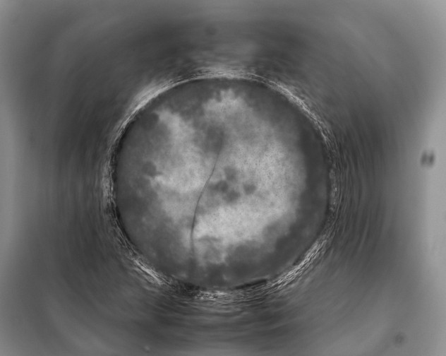 X0000098121215200805021148