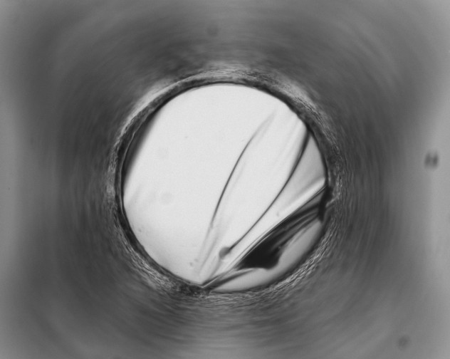 X0000098121216200805021148