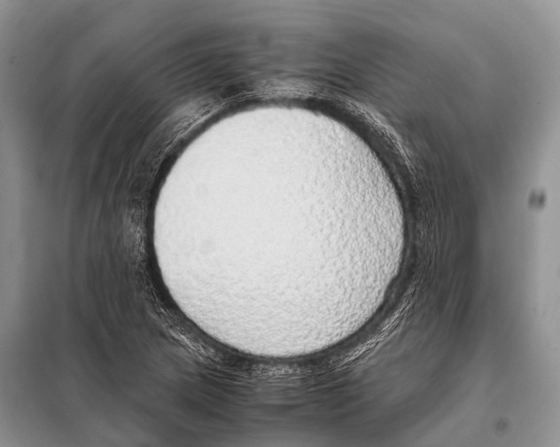 X0000098121217200805021148