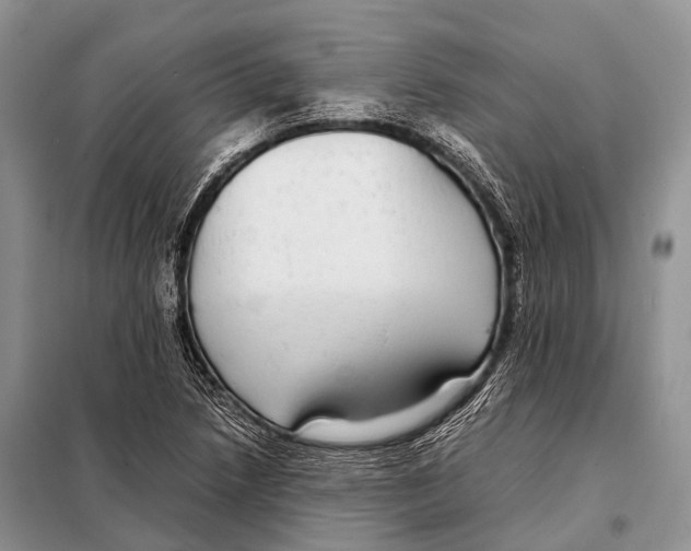 X0000098121218200805021148
