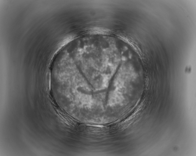 X0000098121219200805021148