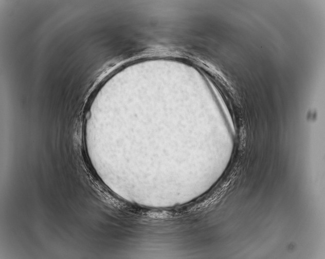 X0000098121220200805021148