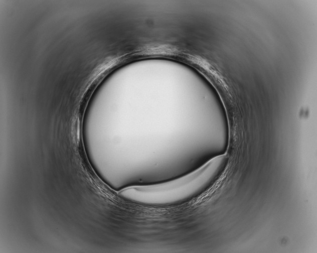 X0000098121221200805021148