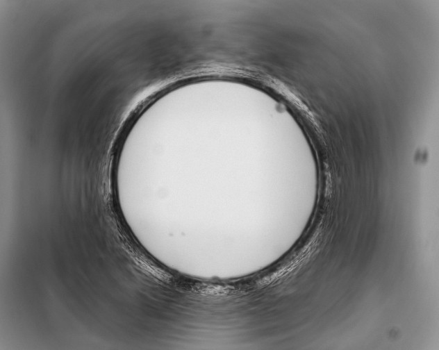 X0000098121222200805021148