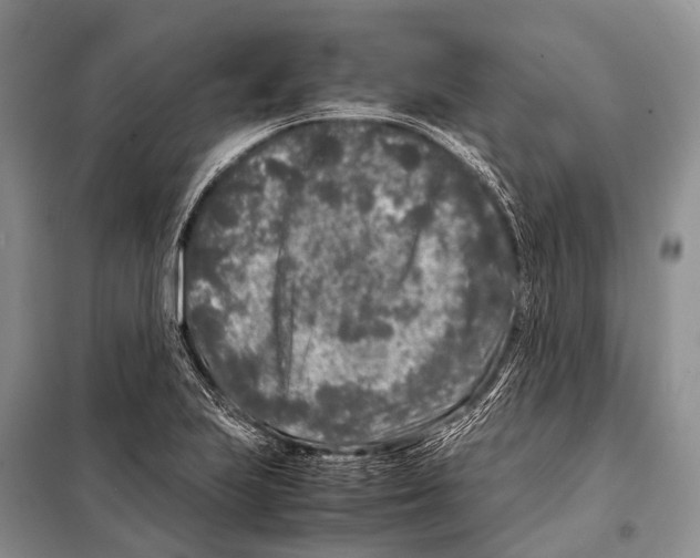 X0000098121223200805021148
