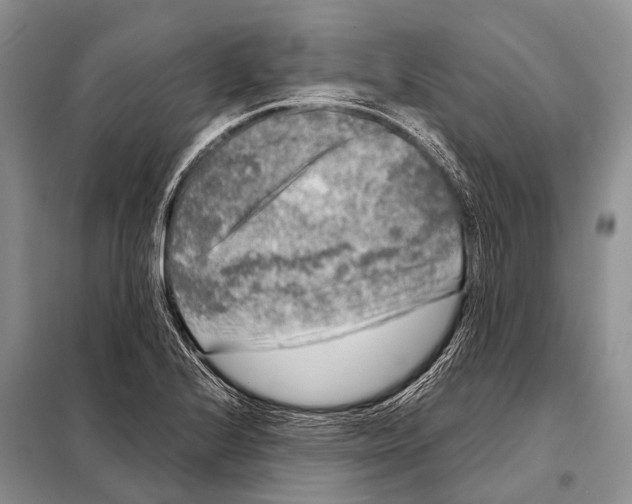 X0000098121224200805021148