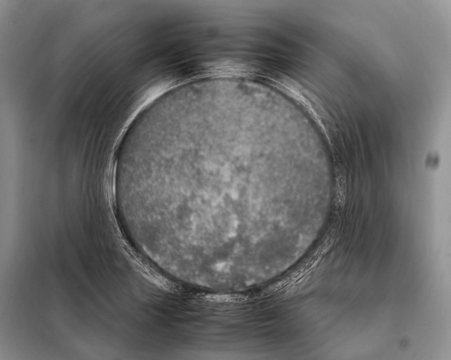 X0000098121227200805021148