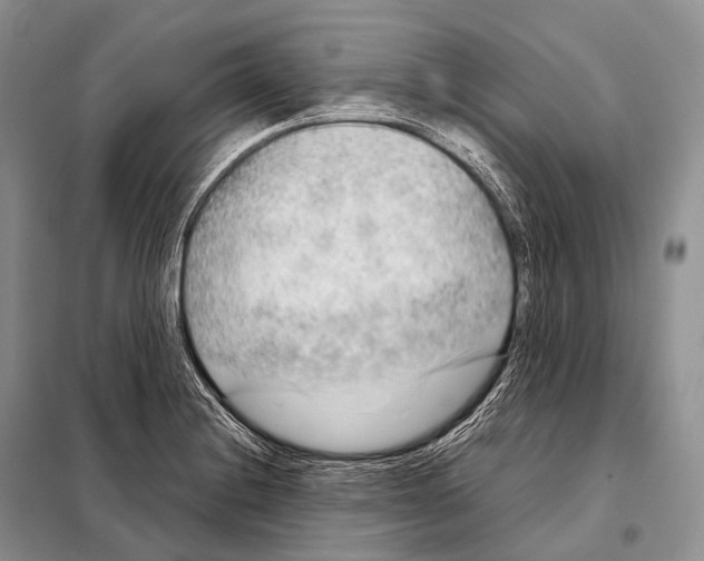 X0000098121228200805021148