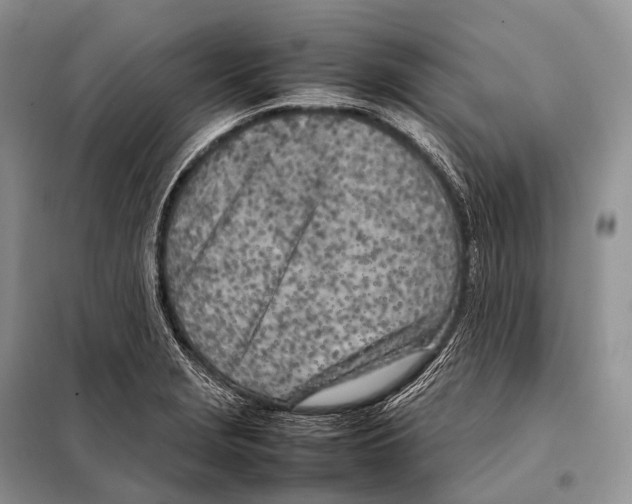 X0000098121229200805021148