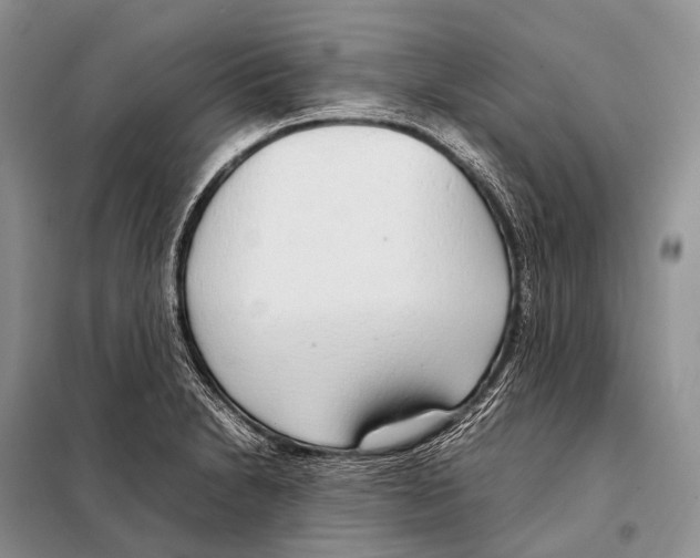 X0000098121230200805021148