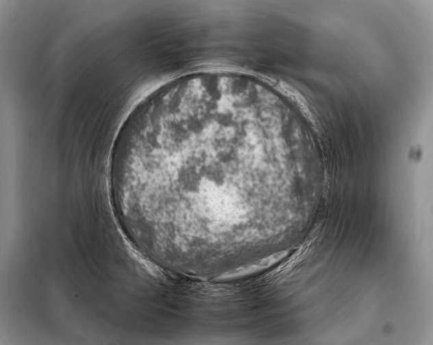 X0000098121231200805021148