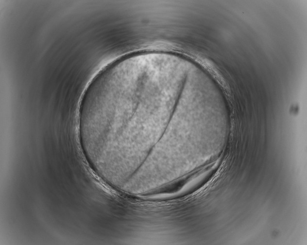 X0000098121232200805021148