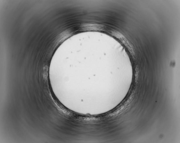 X0000098121233200805021148