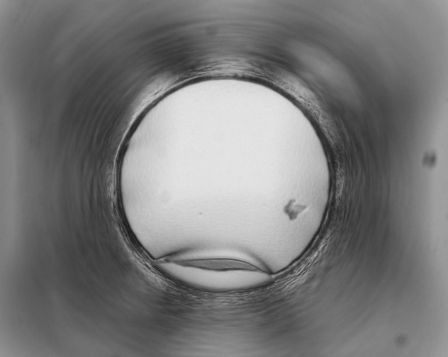 X0000098121234200805021148