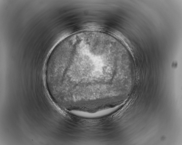 X0000098121235200805021149