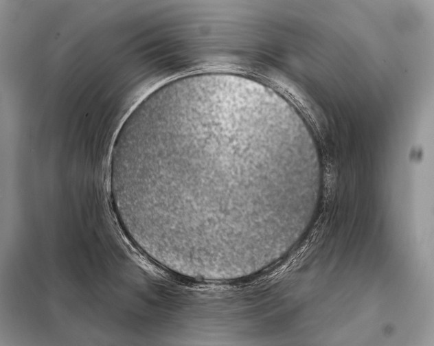 X0000098121236200805021149