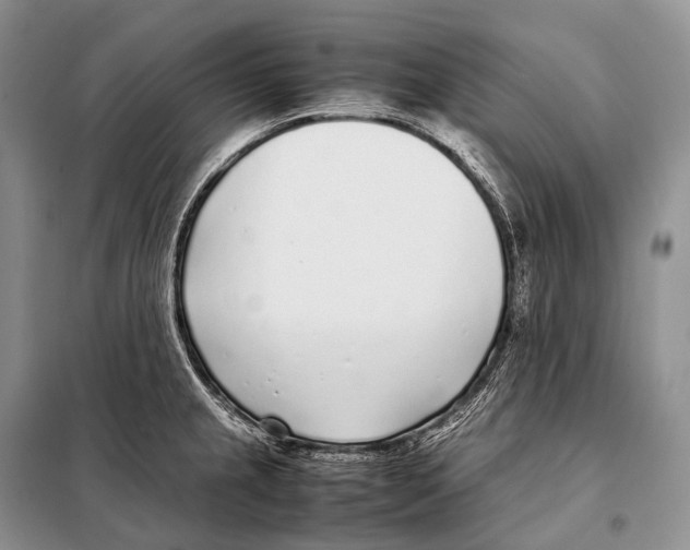 X0000098121237200805021149