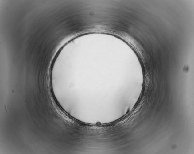 X0000098121238200805021149