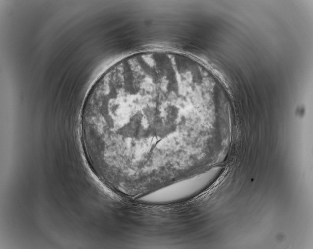 X0000098121239200805021149